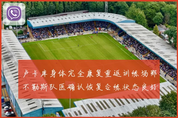 卢卡库身体完全康复重返训练场那不勒斯队医确认恢复合练状态良好