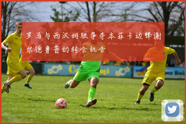 罗马与西汉姆联争夺本菲卡边锋谢尔德鲁普的转会机会