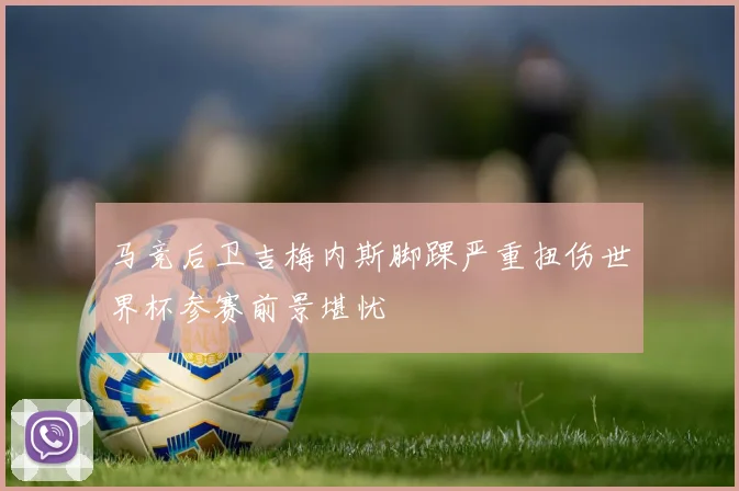 马竞后卫吉梅内斯脚踝严重扭伤世界杯参赛前景堪忧